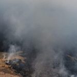 Bromo Wildfire