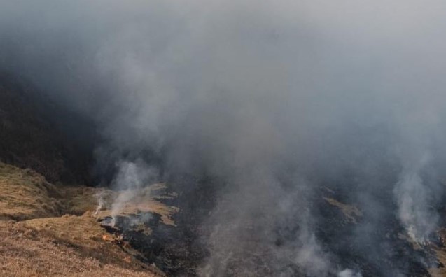 Bromo Wildfire