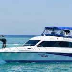 Raja Ampat Speedboat