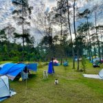 Kebon Pines