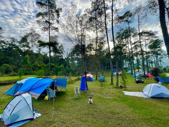 Kebon Pines