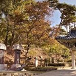 South Korea Travel